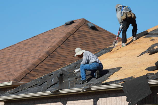 Best Skylight Installation and Repair  in Albany, MO